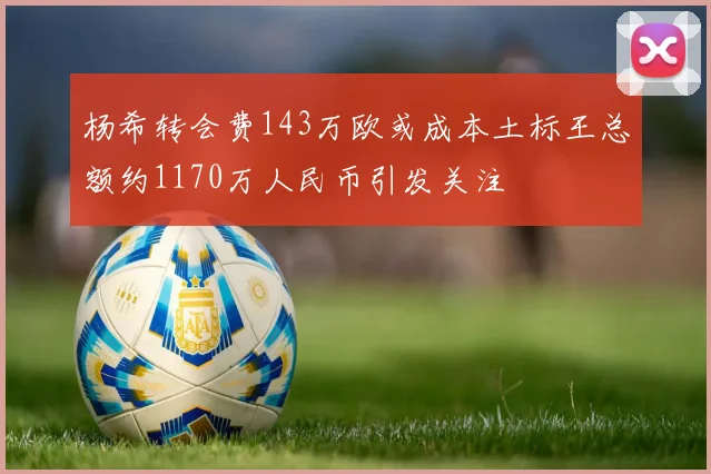 杨希转会费143万欧或成本土标王总额约1170万人民币引发关注