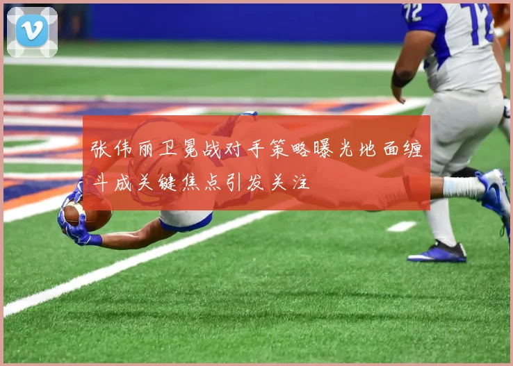 张伟丽卫冕战对手策略曝光地面缠斗成关键焦点引发关注